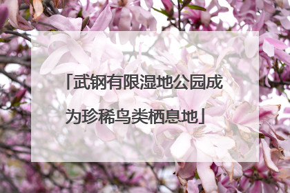武钢有限湿地公园成为珍稀鸟类栖息地