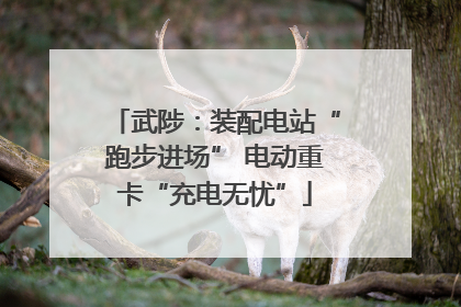 武陟：装配电站“跑步进场” 电动重卡“充电无忧”
