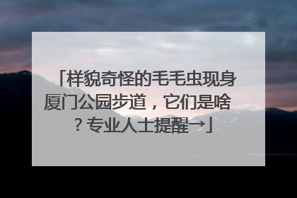 样貌奇怪的毛毛虫现身厦门公园步道，它们是啥？专业人士提醒→
