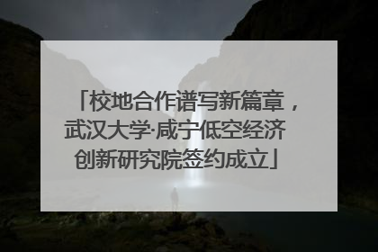 校地合作谱写新篇章，武汉大学·咸宁低空经济创新研究院签约成立