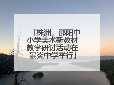 株洲、邵阳中小学美术新教材教学研讨活动在景炎中学举行