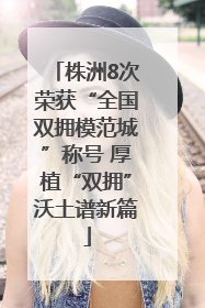 株洲8次荣获“全国双拥模范城”称号 厚植“双拥”沃土谱新篇