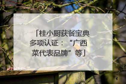 桂小厨获餐宝典多项认证：“广西菜代表品牌”等