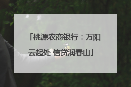 桃源农商银行：万阳云起处 信贷润春山