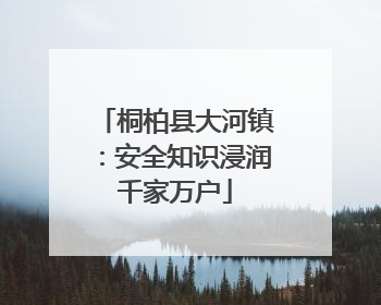 桐柏县大河镇：安全知识浸润千家万户