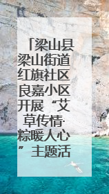 梁山县梁山街道红旗社区良嘉小区开展“艾草传情·粽暖人心”主题活动