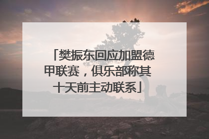 樊振东回应加盟德甲联赛，俱乐部称其十天前主动联系