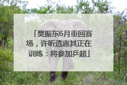 樊振东6月重回赛场，许昕透露其正在训练：将参加乒超