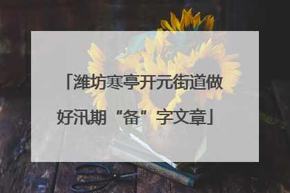 潍坊寒亭开元街道做好汛期“备”字文章