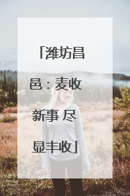 潍坊昌邑：麦收新事 尽显丰收