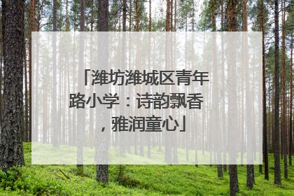 潍坊潍城区青年路小学：诗韵飘香，雅润童心
