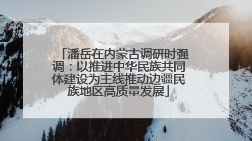 潘岳在内蒙古调研时强调：以推进中华民族共同体建设为主线推动边疆民族地区高质量发展
