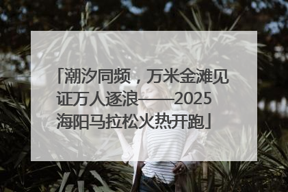 潮汐同频，万米金滩见证万人逐浪——2025海阳马拉松火热开跑
