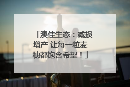 澳佳生态：减损增产 让每一粒麦穗都饱含希望！