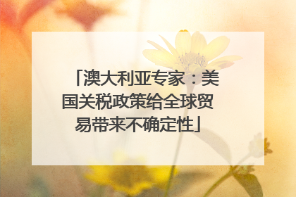 澳大利亚专家：美国关税政策给全球贸易带来不确定性