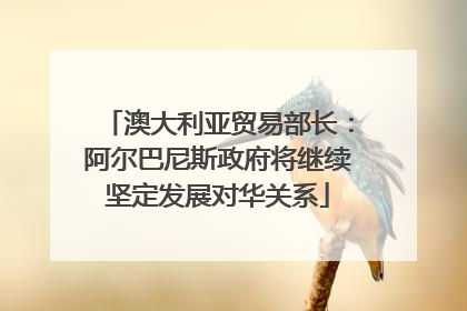 澳大利亚贸易部长：阿尔巴尼斯政府将继续坚定发展对华关系