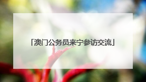 澳门公务员来宁参访交流