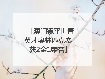 澳门镜平世青英才奥林匹克赛获2金1荣誉
