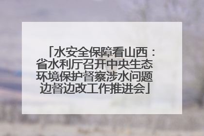 水安全保障看山西：省水利厅召开中央生态环境保护督察涉水问题边督边改工作推进会