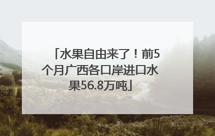 水果自由来了！前5个月广西各口岸进口水果56.8万吨