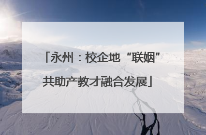 永州：校企地“联姻” 共助产教才融合发展