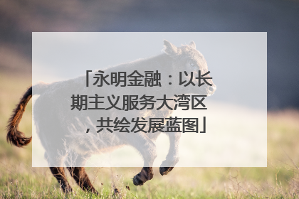 永明金融：以长期主义服务大湾区，共绘发展蓝图