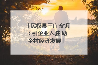 民权县王庄寨镇：引企业入驻 助乡村经济发展