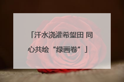 汗水浇灌希望田 同心共绘“绿画卷”
