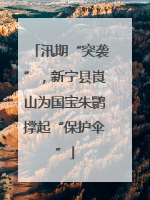 汛期“突袭”，新宁县崀山为国宝朱鹮撑起“保护伞”