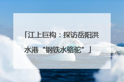 江上巨构：探访岳阳洪水港“钢铁水骆驼”