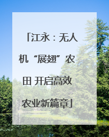 江永：无人机“展翅”农田 开启高效农业新篇章