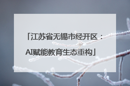 江苏省无锡市经开区：AI赋能教育生态重构