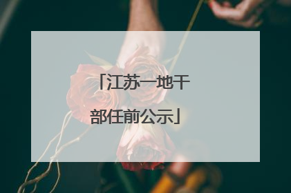 江苏一地干部任前公示