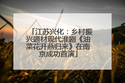 江苏兴化：乡村振兴题材现代淮剧《油菜花开燕归来》在南京成功首演