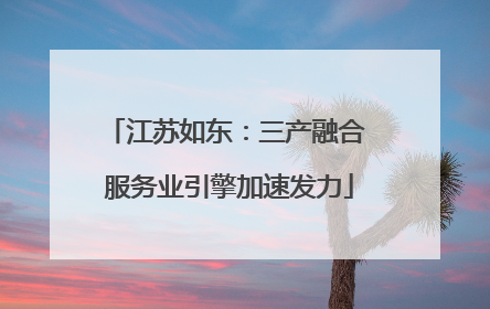 江苏如东：三产融合 服务业引擎加速发力
