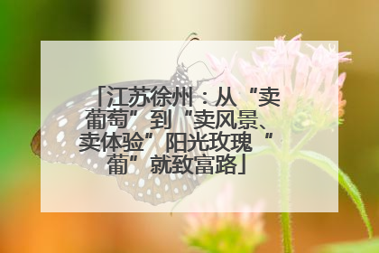 江苏徐州：从“卖葡萄”到“卖风景、卖体验”阳光玫瑰“葡”就致富路