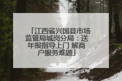 江西省兴国县市场监管局城岗分局：送年报指导上门 解商户服务难题
