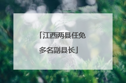 江西两县任免多名副县长