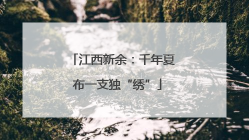 江西新余：千年夏布一支独“绣”