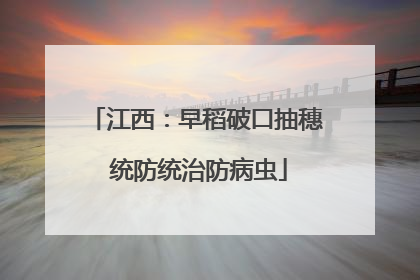 江西：早稻破口抽穗 统防统治防病虫