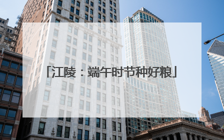 江陵：端午时节种好粮