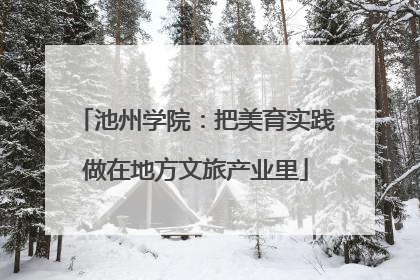 池州学院：把美育实践做在地方文旅产业里