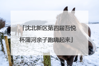 沈北新区第四届吾悦杯蒲河亲子跑嗨起来