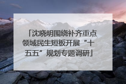 沈晓明围绕补齐重点领域民生短板开展“十五五”规划专题调研
