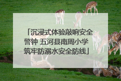 沉浸式体验敲响安全警钟 五河县南周小学筑牢防溺水安全防线