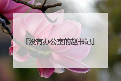 没有办公室的赵书记