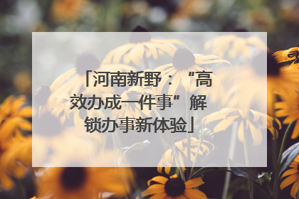 河南新野：“高效办成一件事”解锁办事新体验