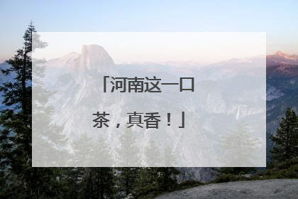 河南这一口茶，真香！