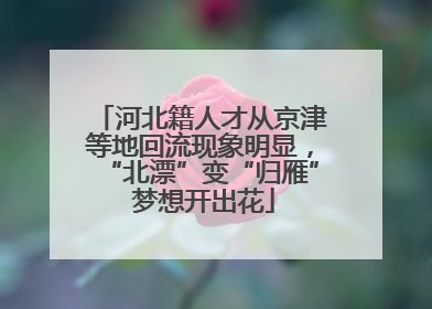 河北籍人才从京津等地回流现象明显，“北漂”变“归雁” 梦想开出花