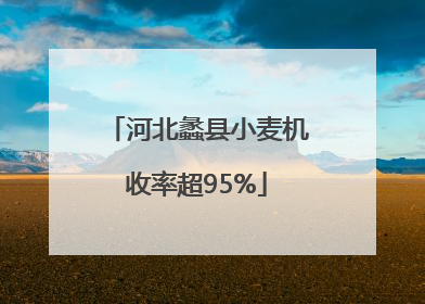 河北蠡县小麦机收率超95%